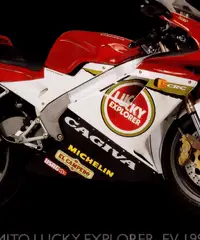 cerco cagiva mito 125 - 5