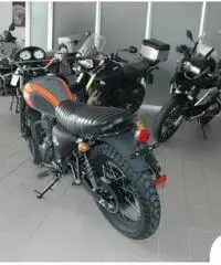 Mash Altro SCRAMBLER 400 - 4