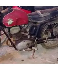 MV AGUSTA MV AGUSTA cc 125 immatricolata 1950