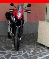 MV AGUSTA Stradale 800 rosso grigia - 0 - 2