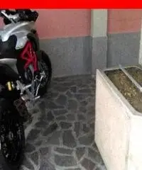 MV AGUSTA Turismo Veloce 800 grigia  - 0 - 4