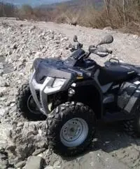 POLARIS Hawkeye tipo veicolo Altro cc 300