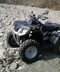 POLARIS Hawkeye tipo veicolo Altro cc 300