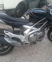 vendo suzuki gladius