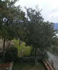 Recco: Villa 5 Locali o piu - 4