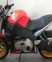 BUELL Lightning XB 12S Export price www.actionbike.it - 4