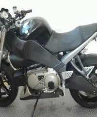 BUELL Lightning XB 12S Export price www.actionbike.it - 5