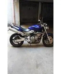 honda hornet 600 - 6