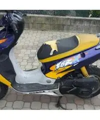 HONDA X8r Scooter cc 50 - 2