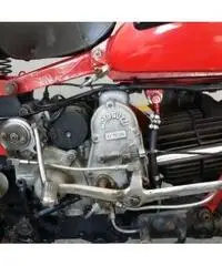 MOTO GUZZI V7 Super Alce 500 - 4