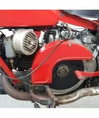 MOTO GUZZI V7 Super Alce 500 - 7