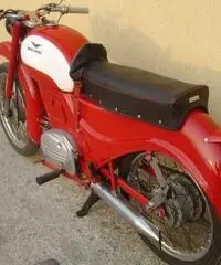 MOTO GUZZI Zigolo 98 Tel. 366-8985749 - 3