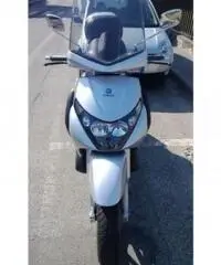 PIAGGIO Beverly tipo veicolo Scooter cc 250 - 2