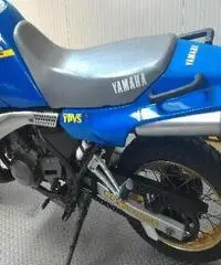 YAMAHA TDR 250 Export price www.actionbike.it - 6