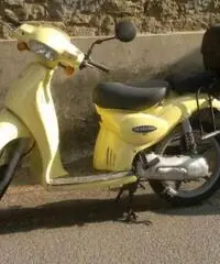 APRILIA Scarabeo tipo veicolo 50cc cc 50 - 3