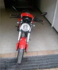 bella ducati monster695 - 3