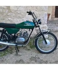 Moto Guzzi Nibbio 50 - 2