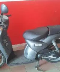 APRILIA Scarabeo 50cc cc 50