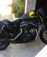 Stupenda harley 883 iron