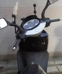 APRILIA Leonardo tipo veicolo Scooter cc 150