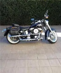 Harley davidson softail special flstn-s limited edition