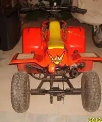 QUAD LEM motore Franco Morini 49 mod.Cayman - 2