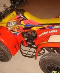 QUAD LEM motore Franco Morini 49 mod.Cayman - 5