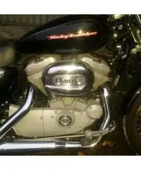 HARLEY DAVIDSON 883 - 3