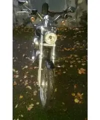 HARLEY DAVIDSON 883 - 5