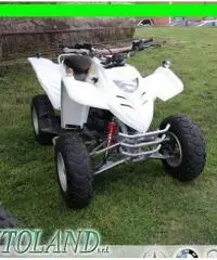 ADLY Super Sonic 50 Quad 4 Tempi 50cc - 3