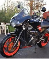 APRILIA Tuono 1000 R Lug. 2oo4 Km 27.000