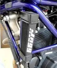 Buell X1 p38- lightnineg Edition? ESEMPLARE UNICO - 6