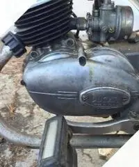 Ducati Altro modello - Anni 50 - 2