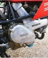 Ducati Pantah 500 Desmo, Perfetta, tagliandata - 4