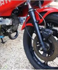 Ducati Pantah 500 Desmo, Perfetta, tagliandata - 5