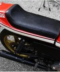 Ducati Sport 500 Desmo, Iscritta ASI - 3