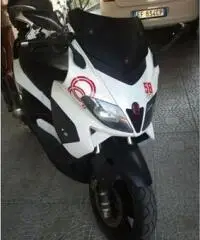 GILERA Nexus tipo veicolo Scooter cc 500 - 2