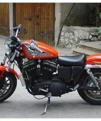 HARLEY-DAVIDSON Sportster 883 Custom cc 883