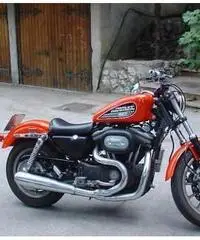 HARLEY-DAVIDSON Sportster 883 Custom cc 883 - 2