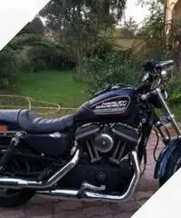 Harley-Davidson Sportster 883 R - 2007 Blu Met - 2