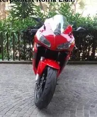 HONDA CBR 600 RR cbr 600 rr