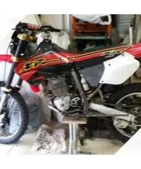 Honda Dall'Ara XR 250 - 2001 - 2