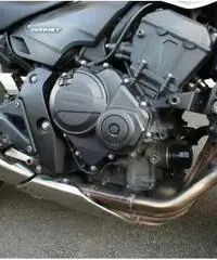 Honda Hornet 600, Manutenzione curata, Tagliandi certificati, Uniproprietario - 5