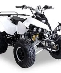 MINIQUAD 125cc 4 TEMPI PREDATOR TELECOMANDO QUAD MINI SUPER OFFERTE - 4