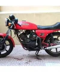 Morini 350 Sport - 1982