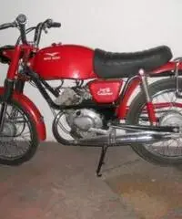 Moto Guzzi Dingo 50 GT 1972