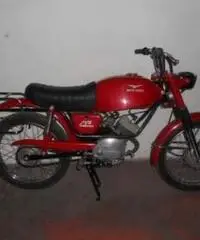 Moto Guzzi Dingo 50 GT 1972 - 4