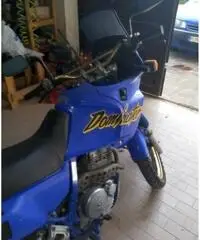 Moto Honda dominator - 4