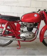 Moto Perugina 175 GT del 1953 Aermacchi MV Augusta Moto Guzzi - 2