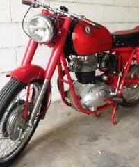 Moto Perugina 175 GT del 1953 Aermacchi MV Augusta Moto Guzzi - 3